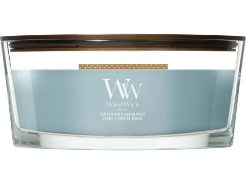 Cedarwood &amp; Ocean Moss Scented Candle Boat 453.6 g