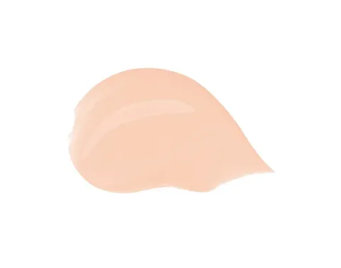 Hydrating tinted cream (Blueberry Nutri-Tint) 30 ml - 1N