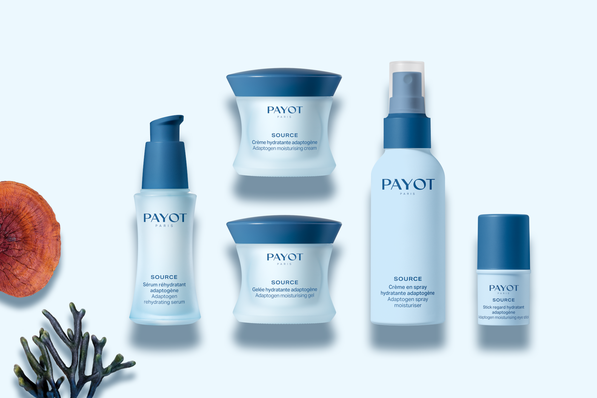 Payot